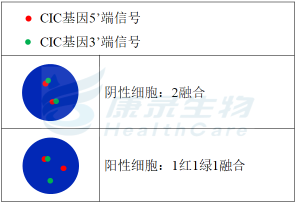 中国·拉斯维加斯(3499·官方认证)网站-Officialwebsite