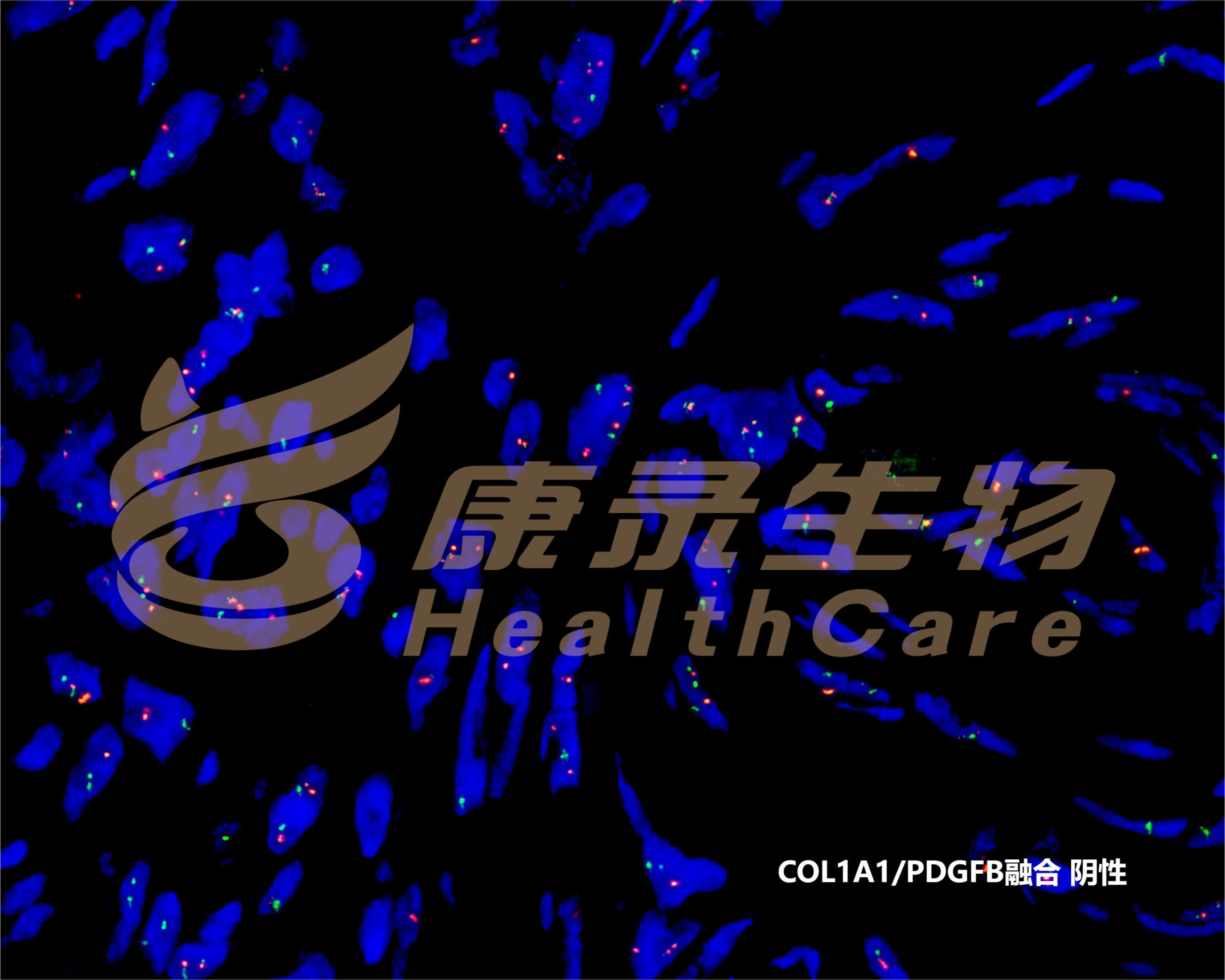 中国·拉斯维加斯(3499·官方认证)网站-Officialwebsite
