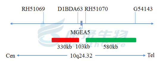 中国·拉斯维加斯(3499·官方认证)网站-Officialwebsite