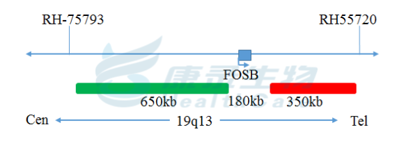 中国·拉斯维加斯(3499·官方认证)网站-Officialwebsite