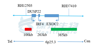 中国·拉斯维加斯(3499·官方认证)网站-Officialwebsite