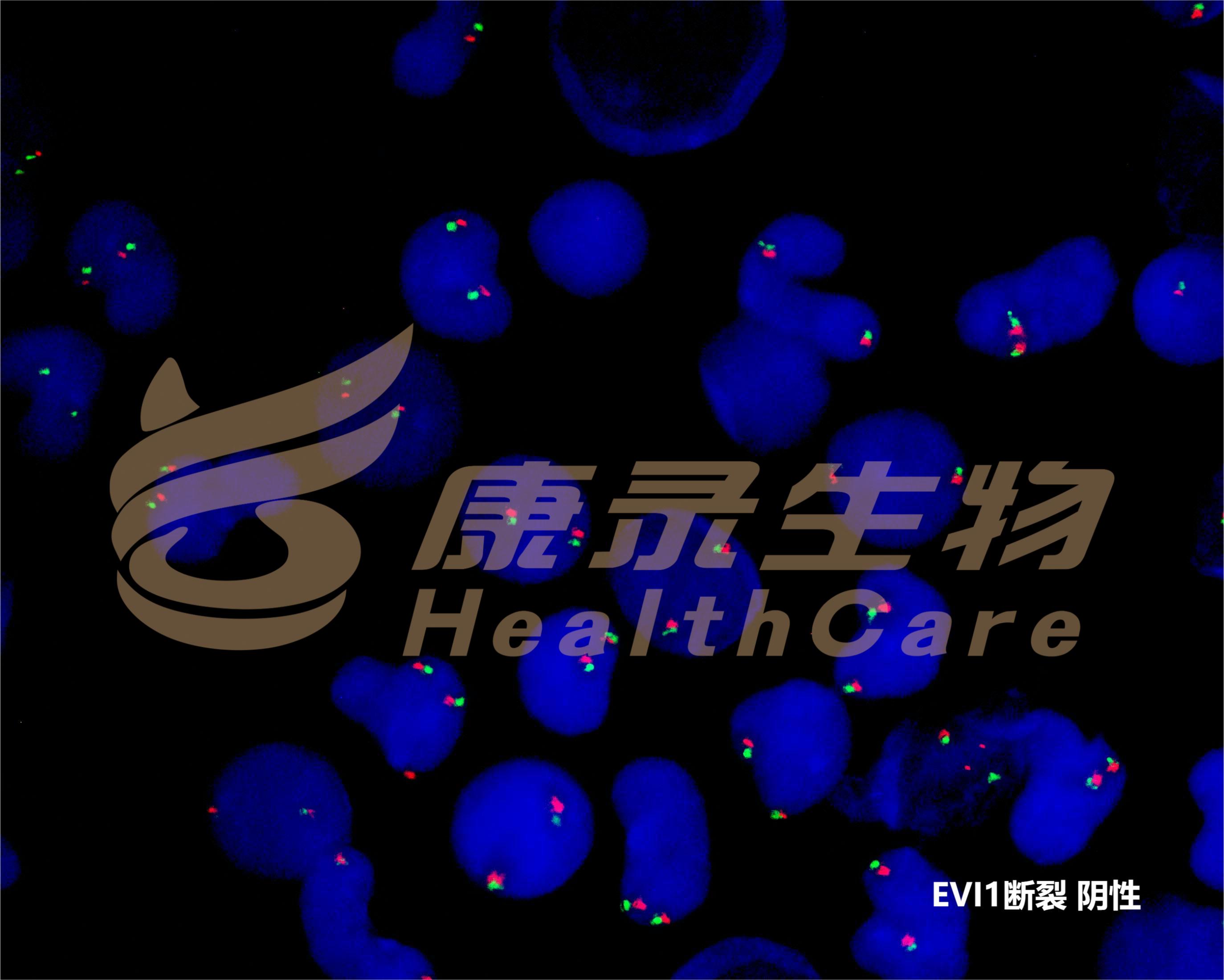 中国·拉斯维加斯(3499·官方认证)网站-Officialwebsite