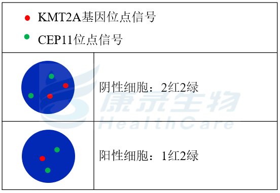 中国·拉斯维加斯(3499·官方认证)网站-Officialwebsite