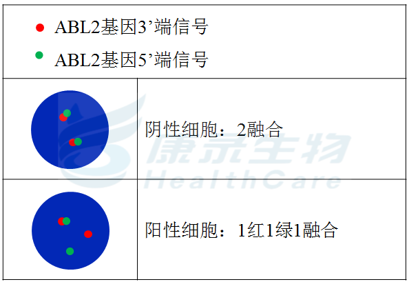 中国·拉斯维加斯(3499·官方认证)网站-Officialwebsite