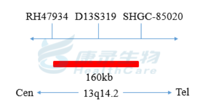 中国·拉斯维加斯(3499·官方认证)网站-Officialwebsite