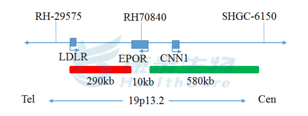 中国·拉斯维加斯(3499·官方认证)网站-Officialwebsite