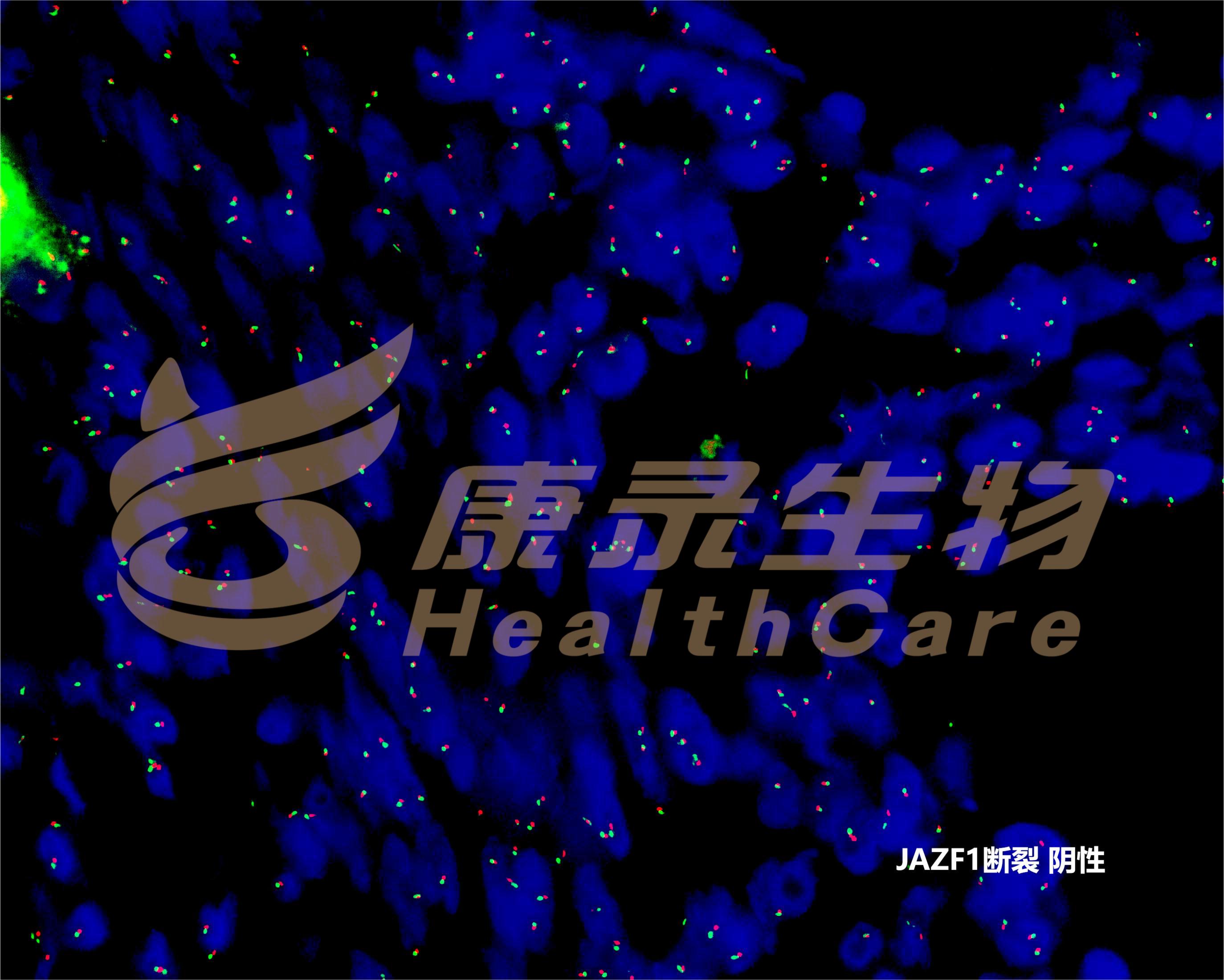 中国·拉斯维加斯(3499·官方认证)网站-Officialwebsite