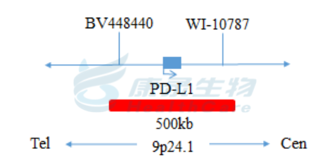 中国·拉斯维加斯(3499·官方认证)网站-Officialwebsite