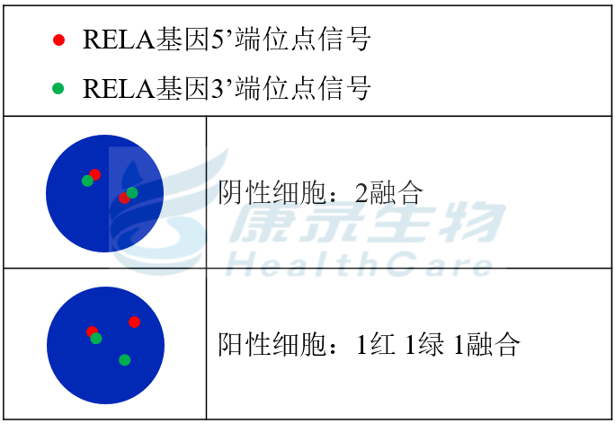 中国·拉斯维加斯(3499·官方认证)网站-Officialwebsite