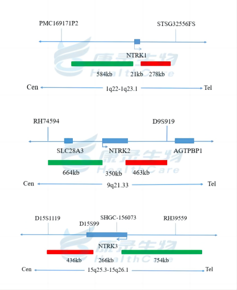 中国·拉斯维加斯(3499·官方认证)网站-Officialwebsite