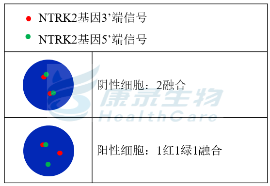 中国·拉斯维加斯(3499·官方认证)网站-Officialwebsite