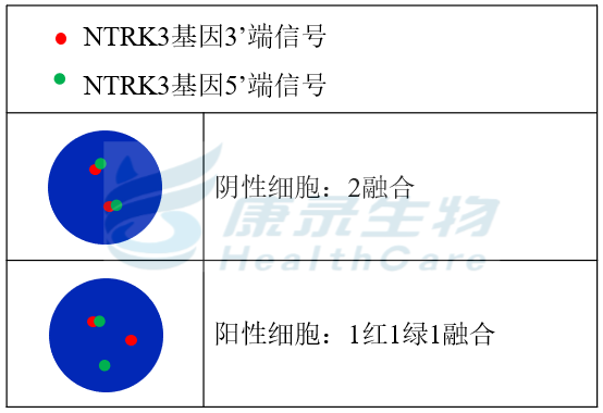 中国·拉斯维加斯(3499·官方认证)网站-Officialwebsite