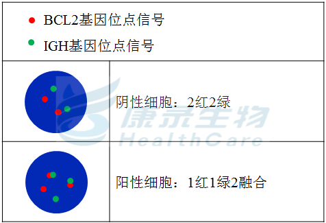 中国·拉斯维加斯(3499·官方认证)网站-Officialwebsite