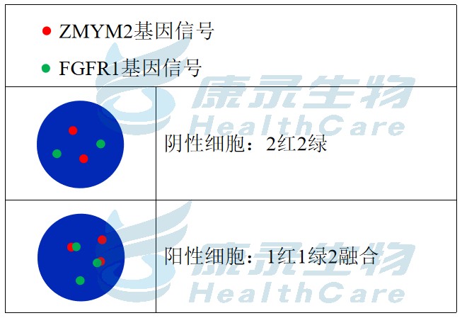 中国·拉斯维加斯(3499·官方认证)网站-Officialwebsite