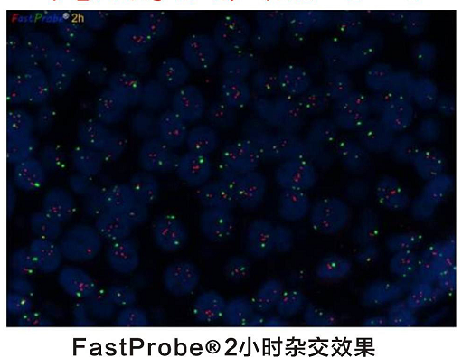 中国·拉斯维加斯(3499·官方认证)网站-Officialwebsite