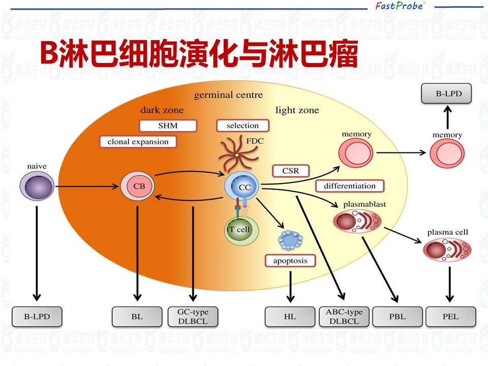 20190318165430-2 幻灯片3.JPG