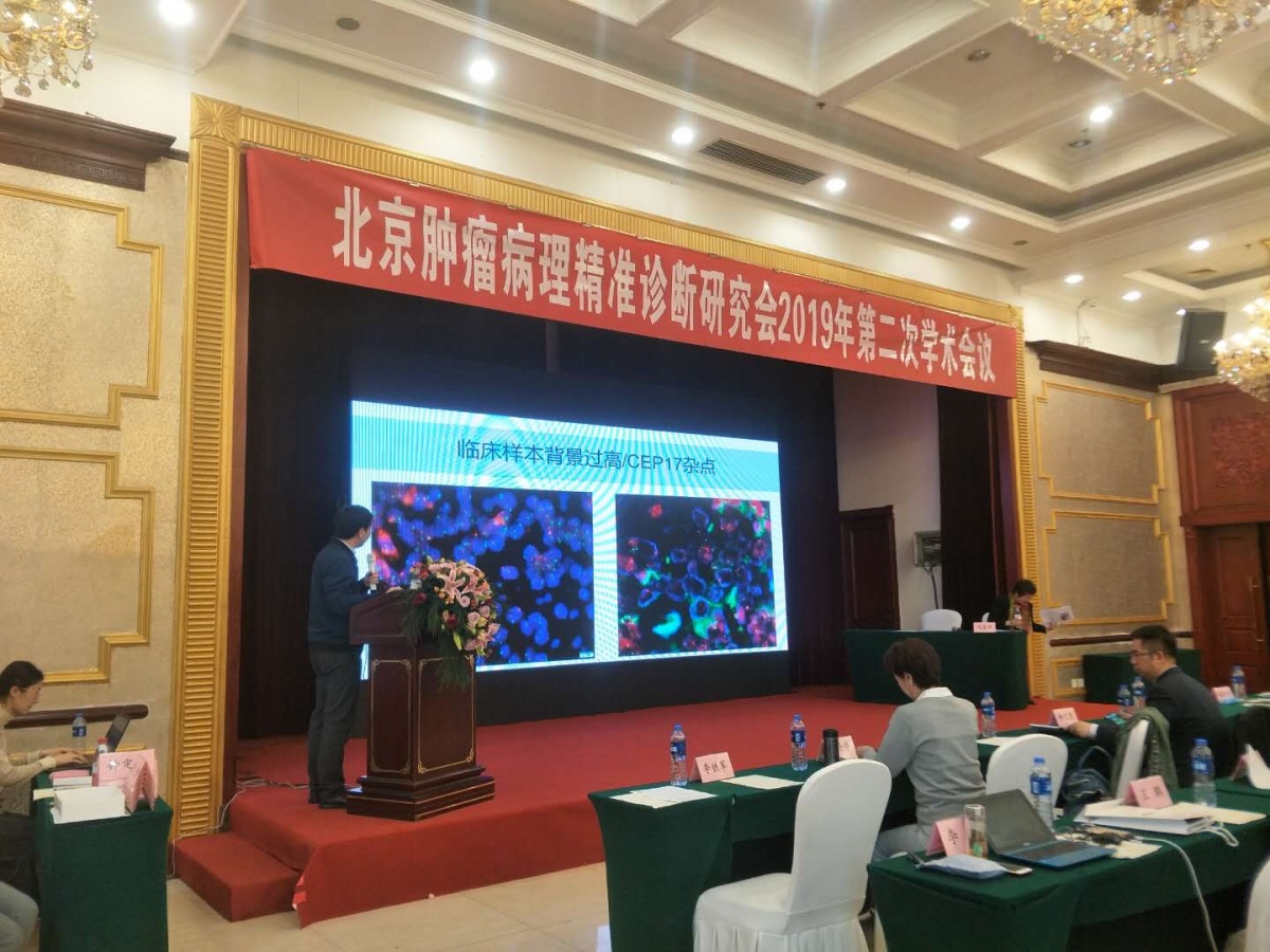 20190430161522-4 5.jpg